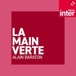 Logo of the podcast La main verte Missing podcast logo