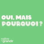 Logo of the podcast Oui, mais pourquoi? Podcast Oui, mais pourquoi?