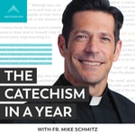 Logo of the podcast The Catechism in a Year (with Fr. Mike Schmitz) Podcast The Catechism in a Year (with Fr. Mike Schmitz)